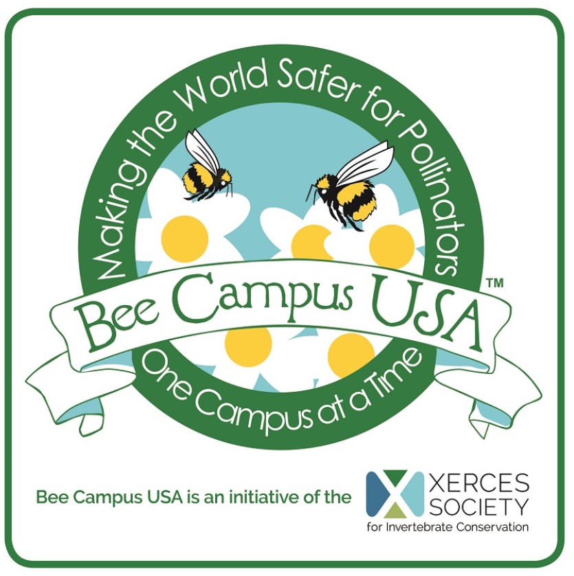 COCC成为蜜蜂校园